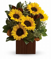 Golden Sun from Westbury Floral Designs in Westbury, NY